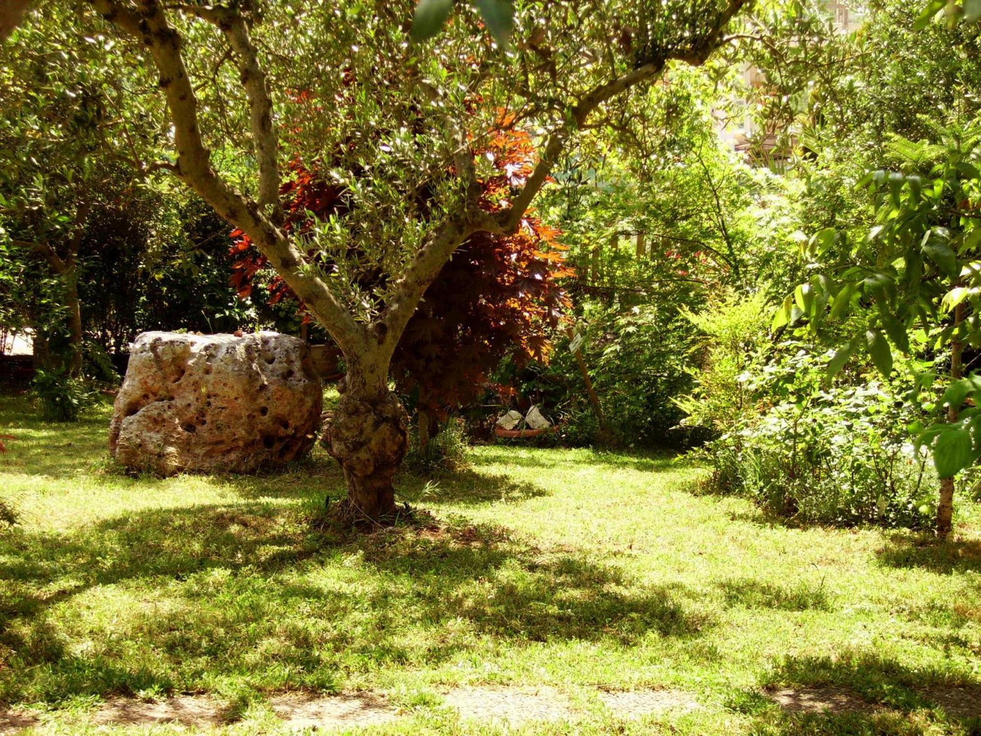 לינה וארוחת בוקר נוצ'י La Cascata מראה חיצוני תמונה